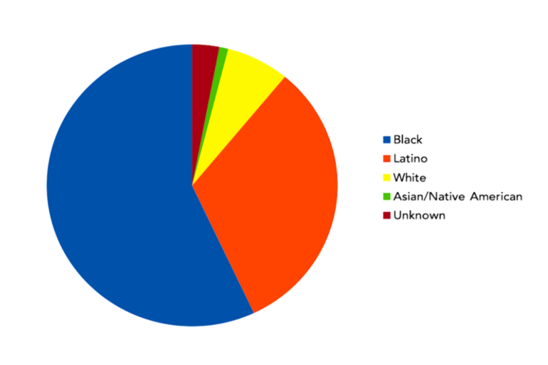 a pie chart of Race of heads of households in the New York City shelter system.